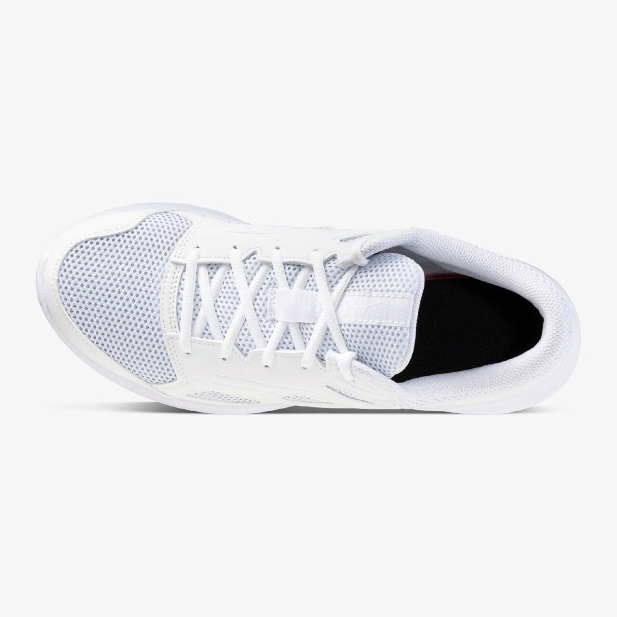 MAXIMIZER 27 - Image 4